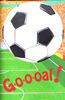 G-o-o-oal A Soccer Book